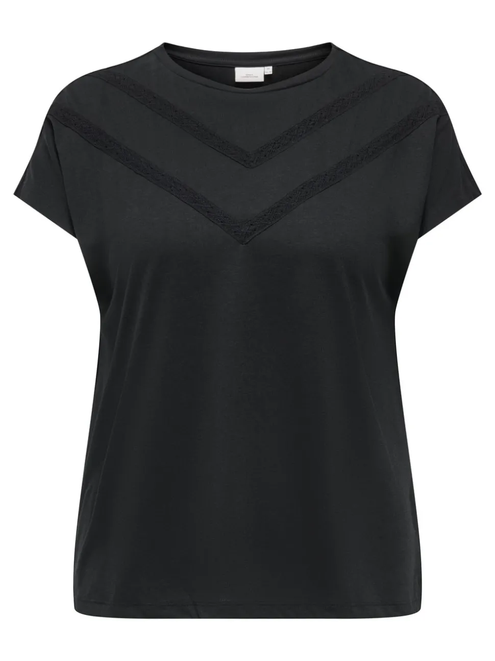 CARCORAL T-shirt