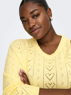 CARISA Pull en maille