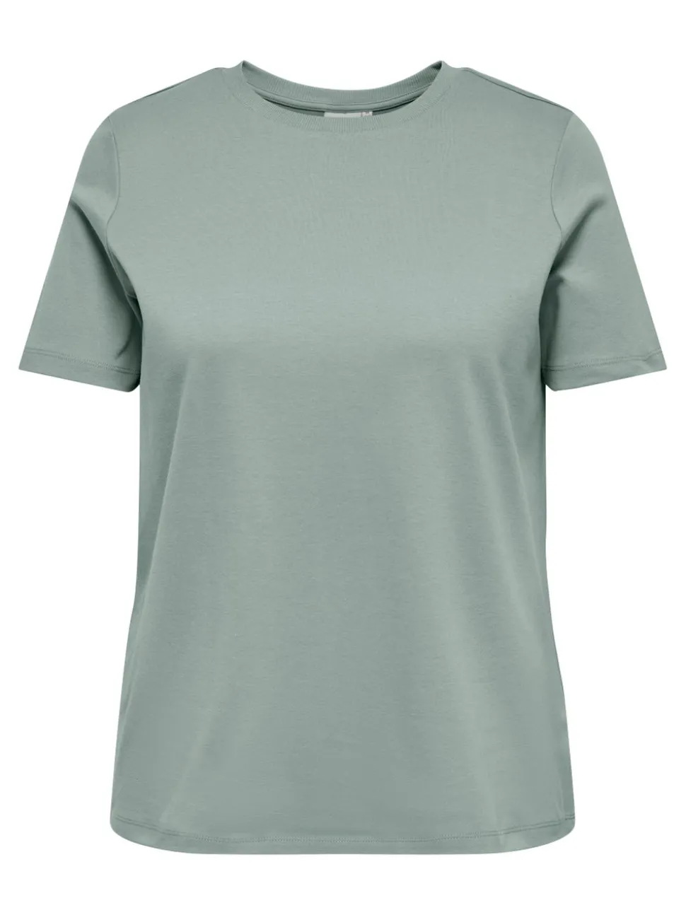 CARJEN Top