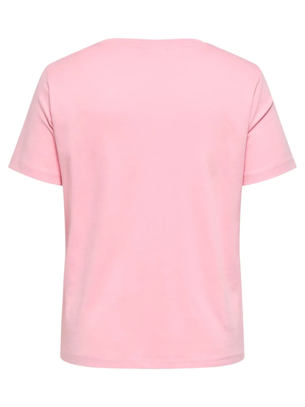 CARJEN Top
