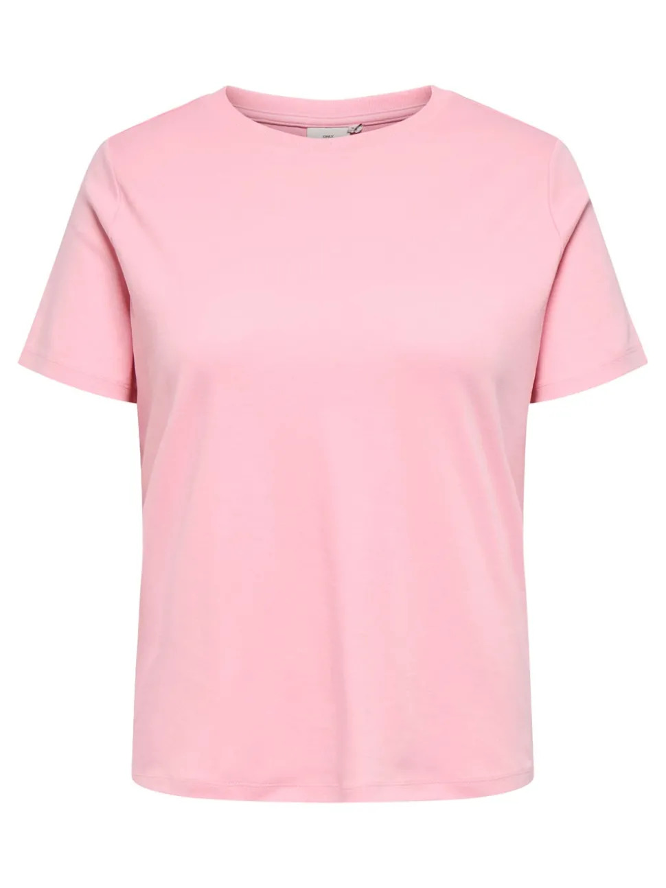 CARJEN Top