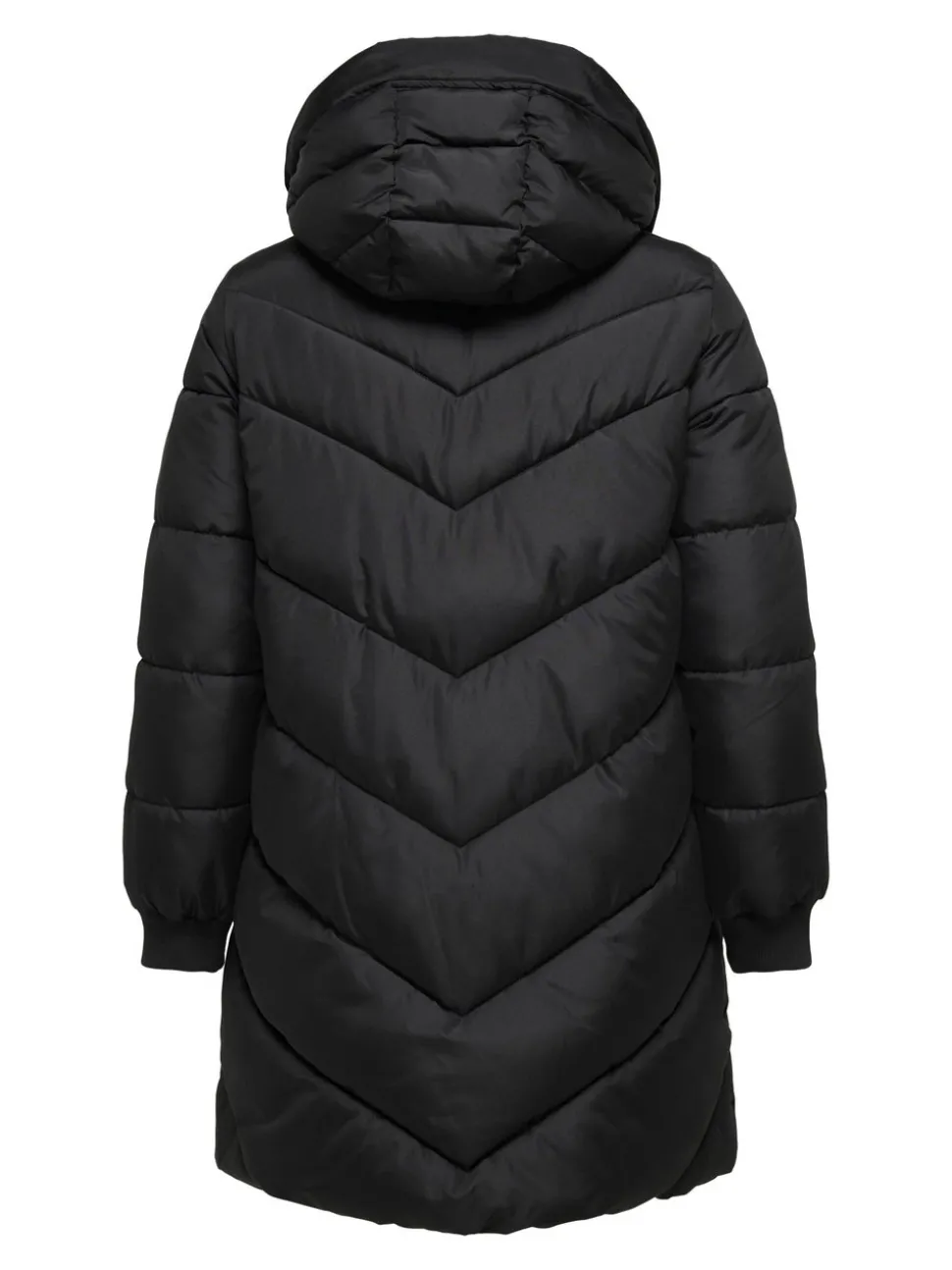 CARMOON Veste