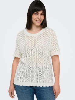 CARSAGA Top