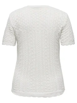 CARSAGA Top