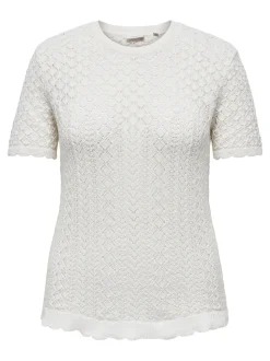 CARSAGA Top
