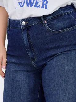 CARSONNY Taille haute Regular Fit Short en denim