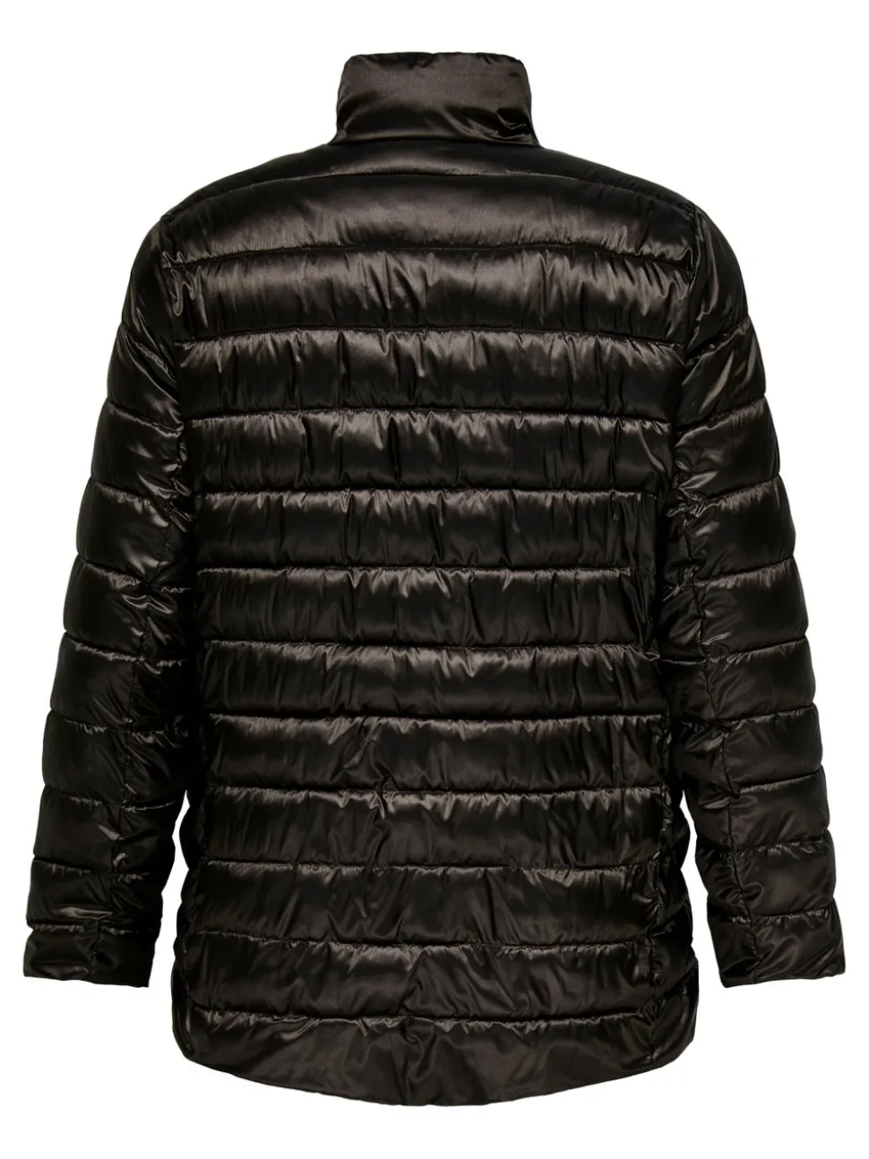 CARVEGA Veste matelassée