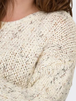 CARWINTER Pull en maille