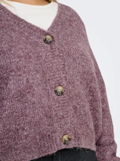 CARZOEY Cardigan
