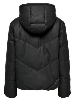 JDYARNHEM Veste