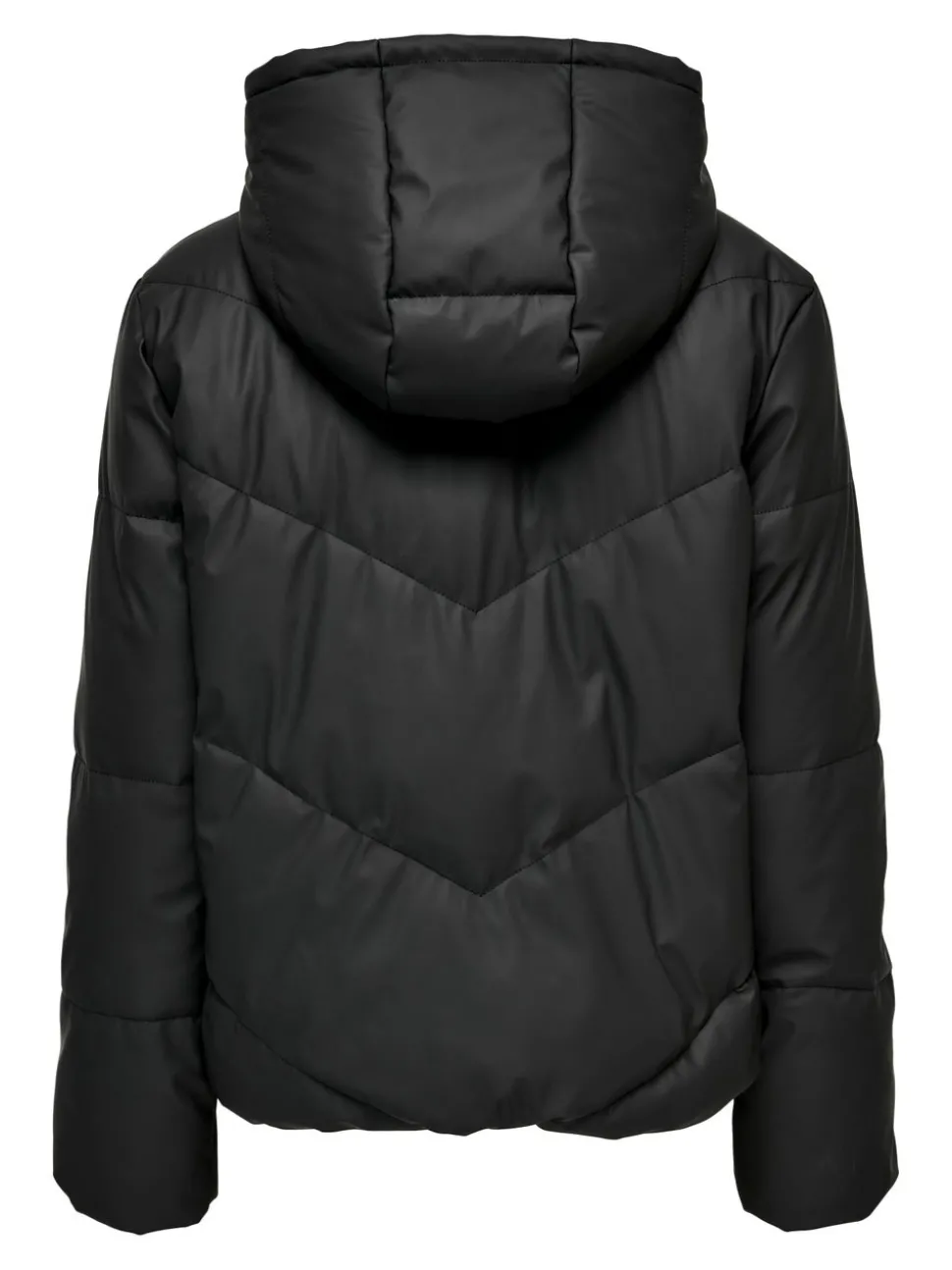 JDYARNHEM Veste