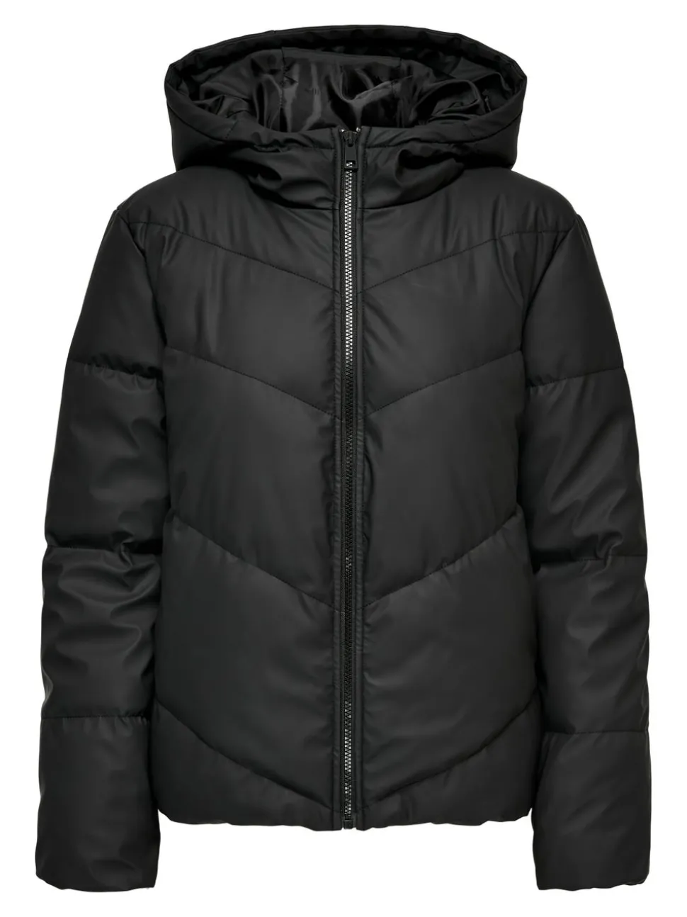 JDYARNHEM Veste