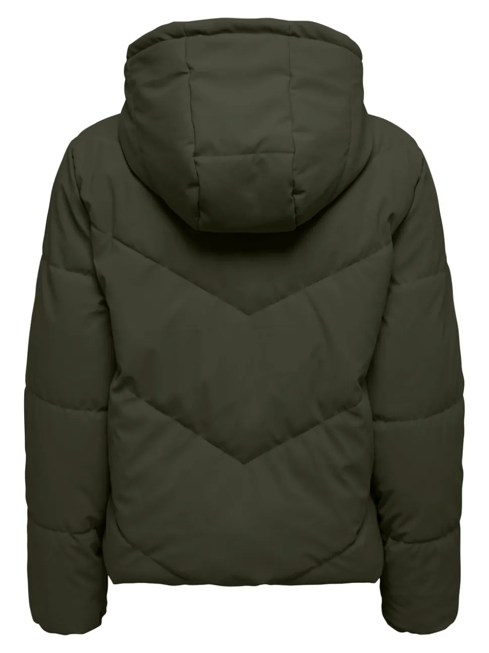 JDYARNHEM Veste