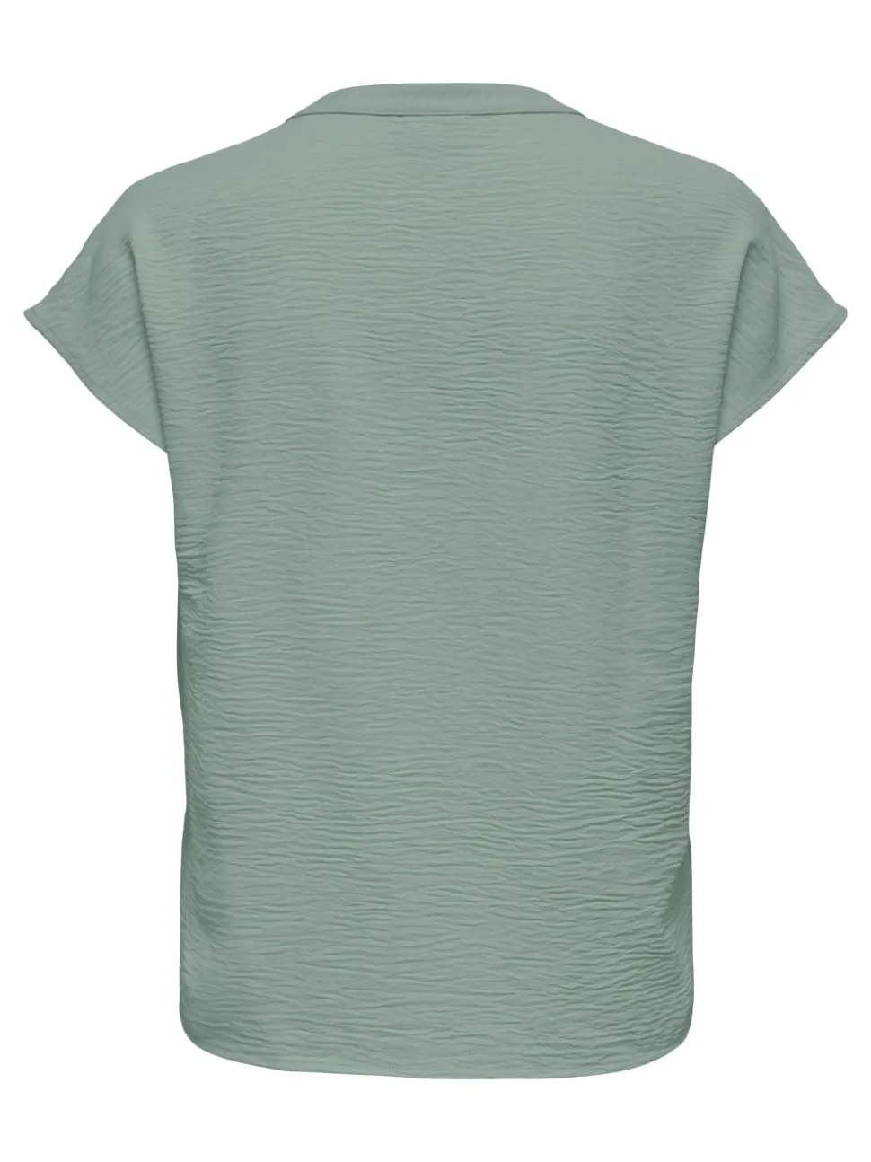 JDYLION Blouse