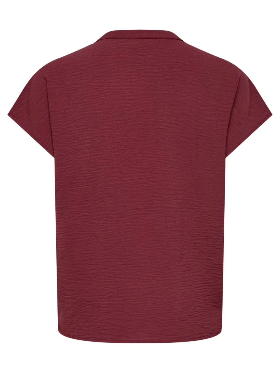 JDYLION Blouse