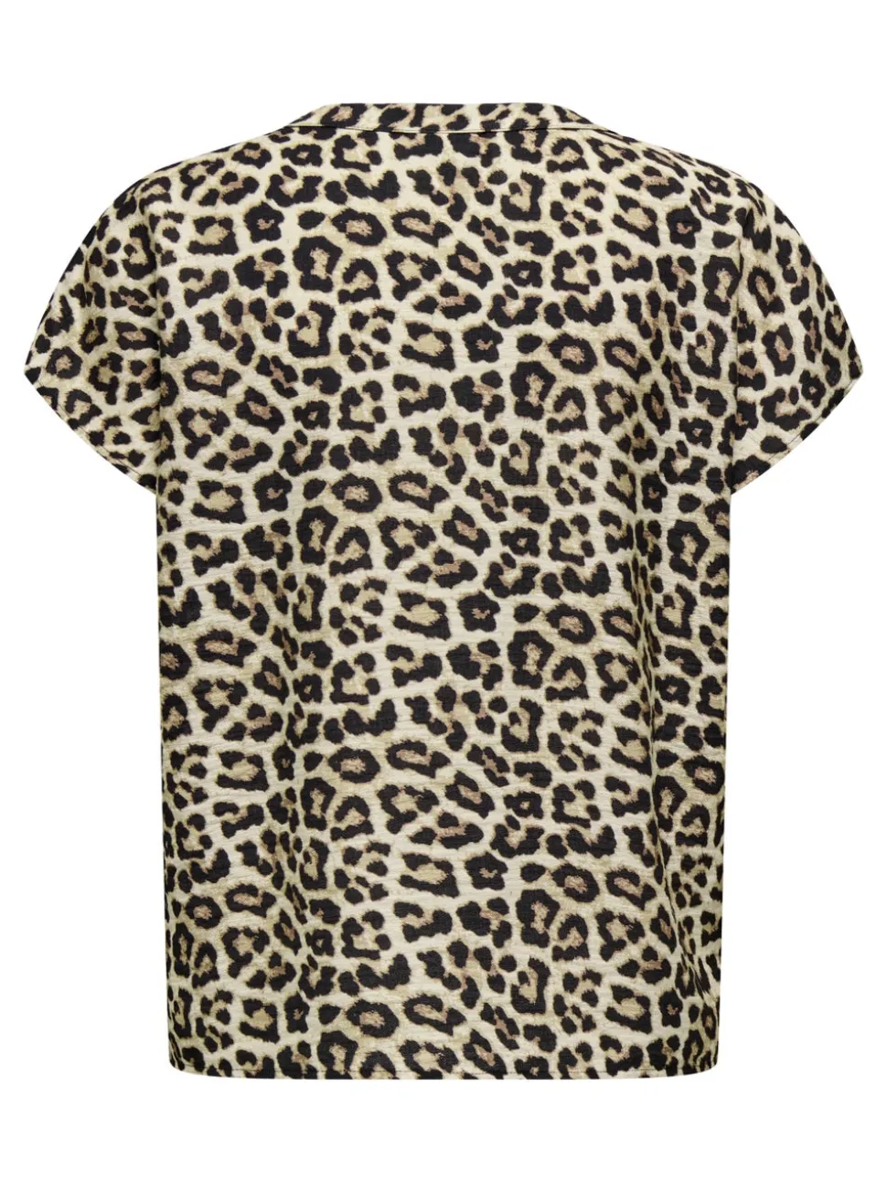 JDYLION Blouse