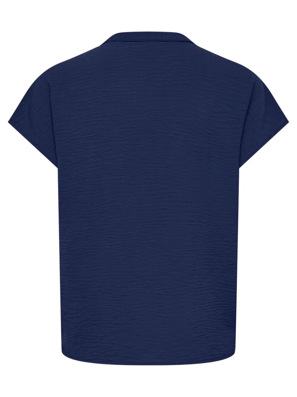 JDYLION Blouse
