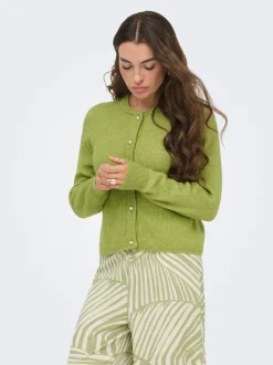 JDYLUMI Cardigan
