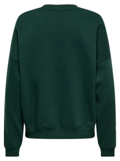 JDYMESA Sweat-shirts