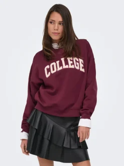 JDYMESA Sweat-shirts