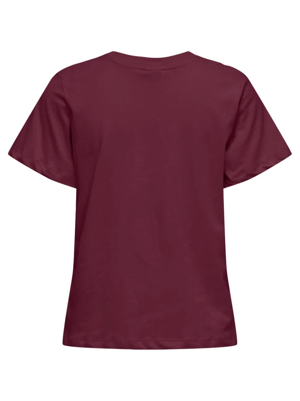 JDYPISA T-shirt