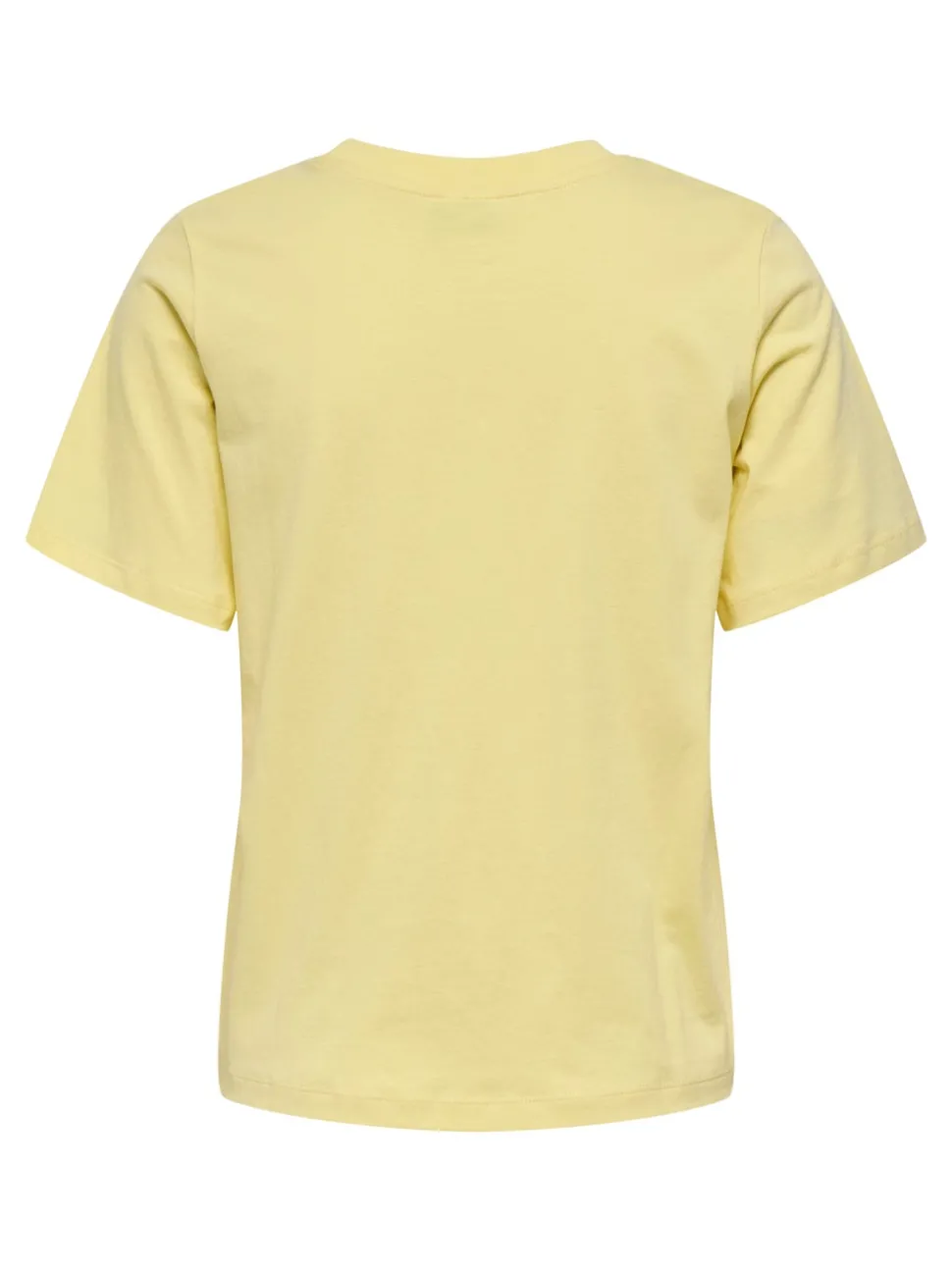 JDYPISA T-shirt