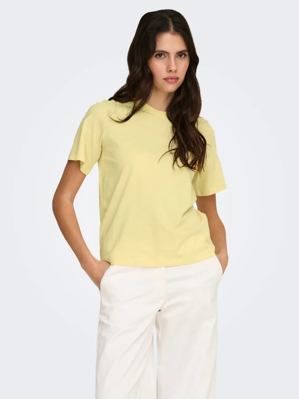 JDYPISA T-shirt