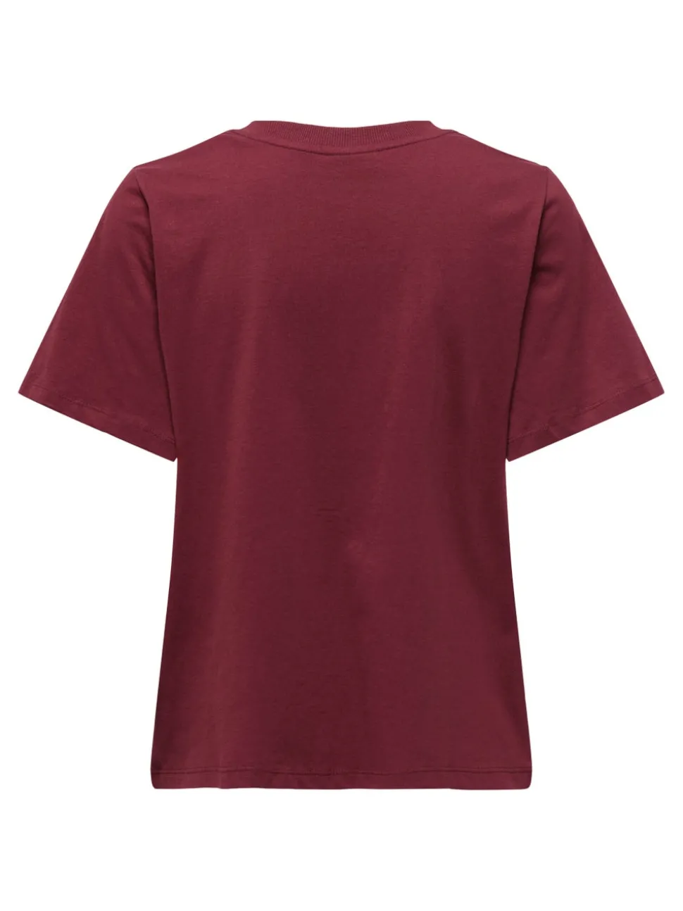 JDYPISA T-shirt