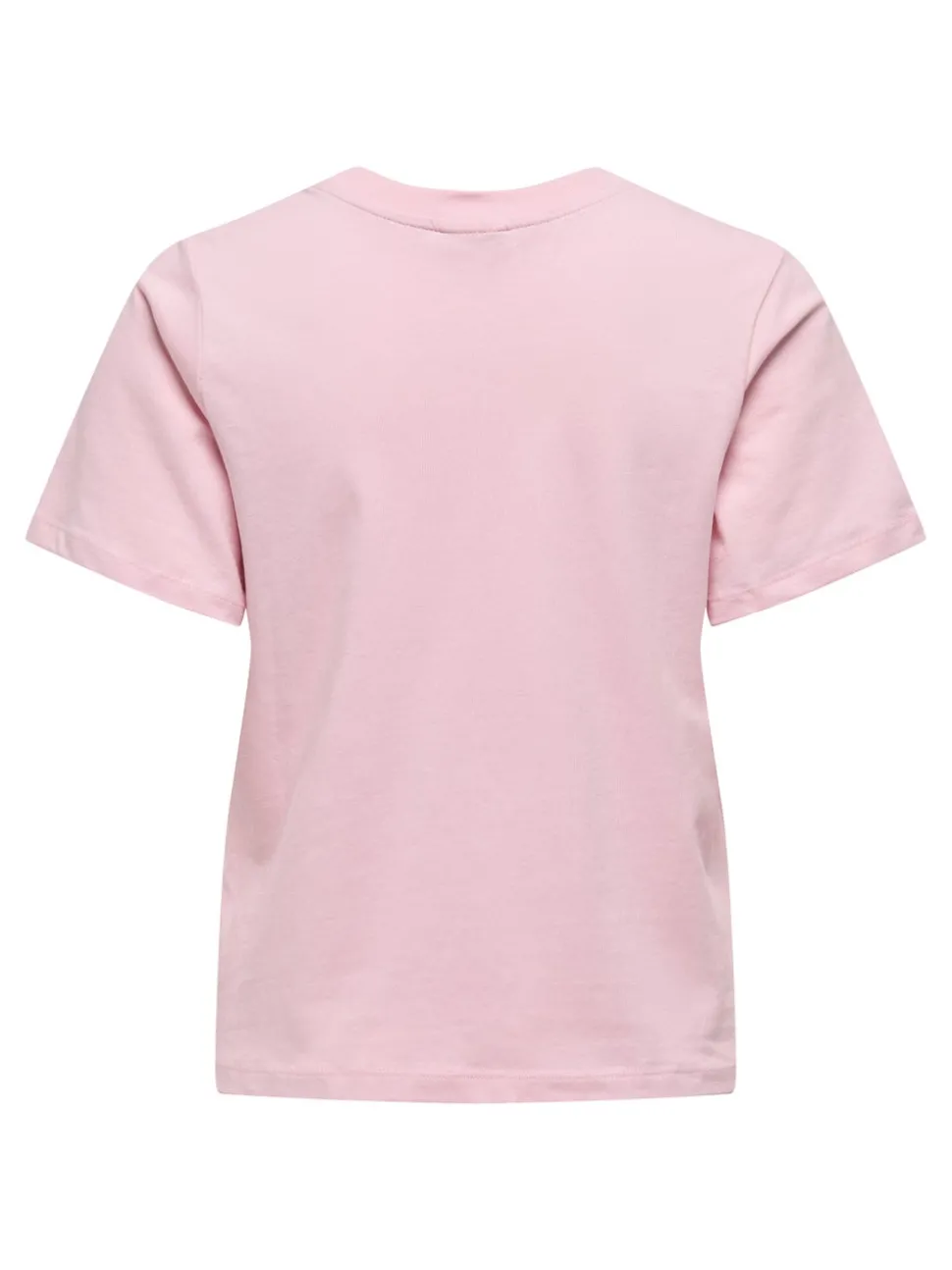 JDYPISA T-shirt