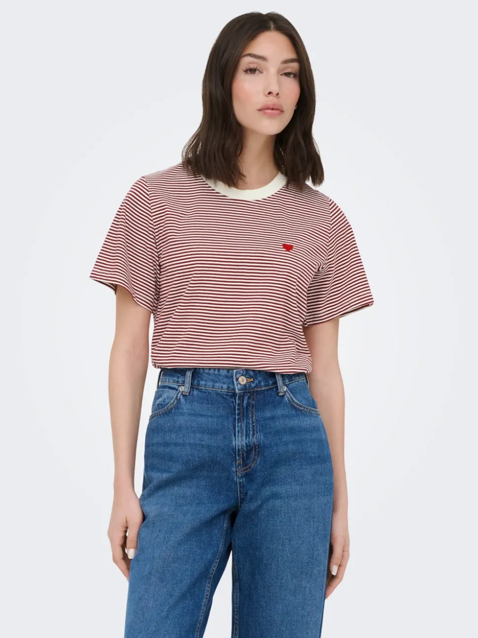 JDYPISA T-shirt