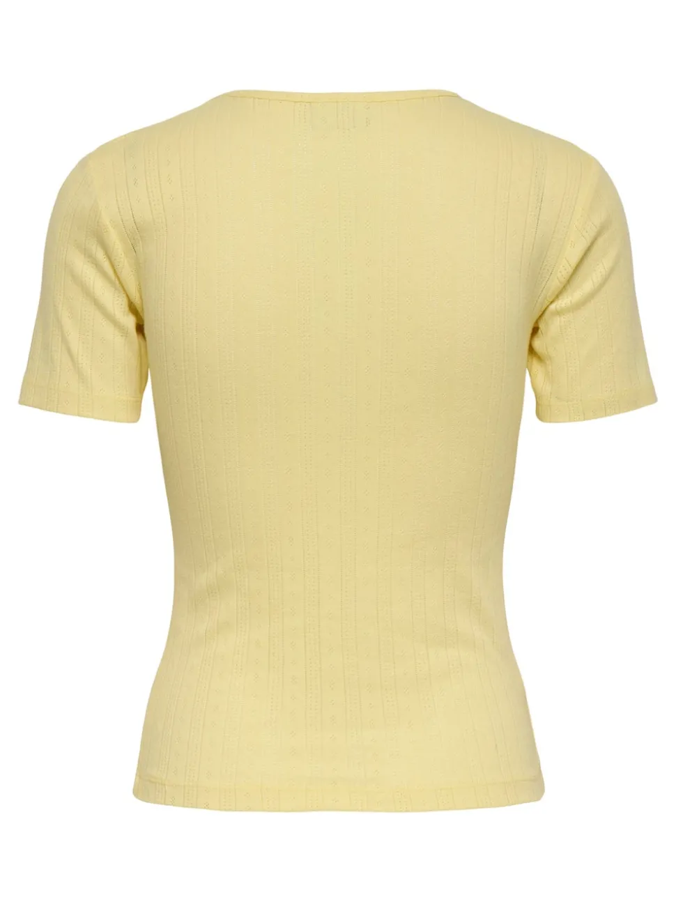 JDYSALSA Top