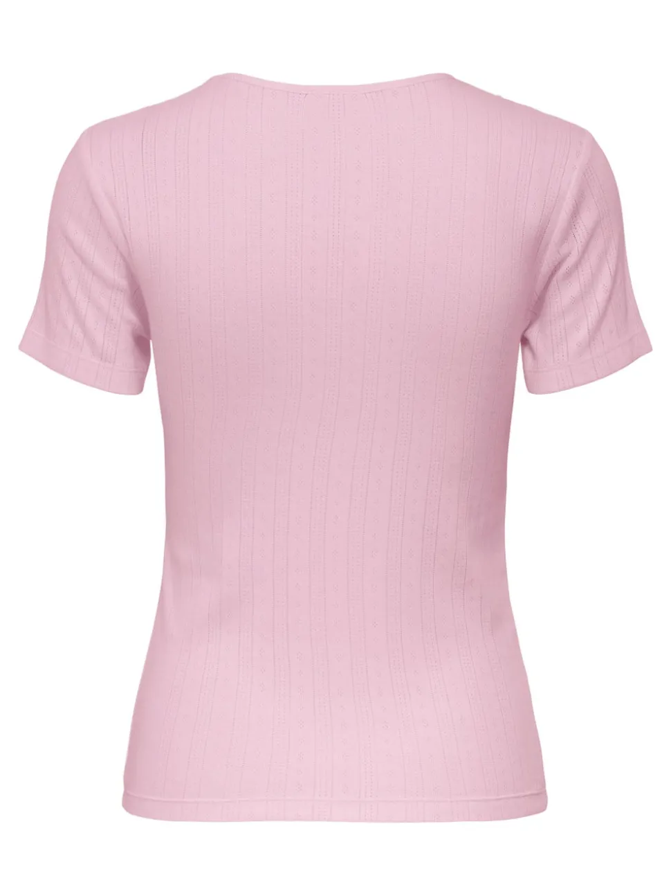 JDYSALSA Top