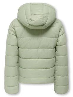 KOGKAJSA Veste