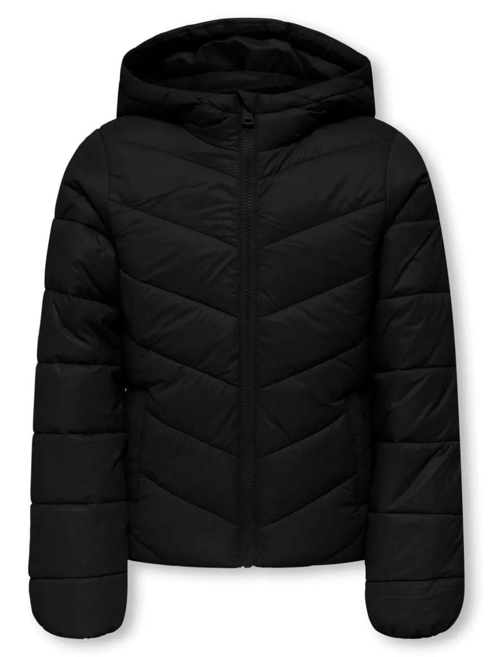KOGKAJSA Veste