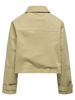 ONLLIANA Trench court