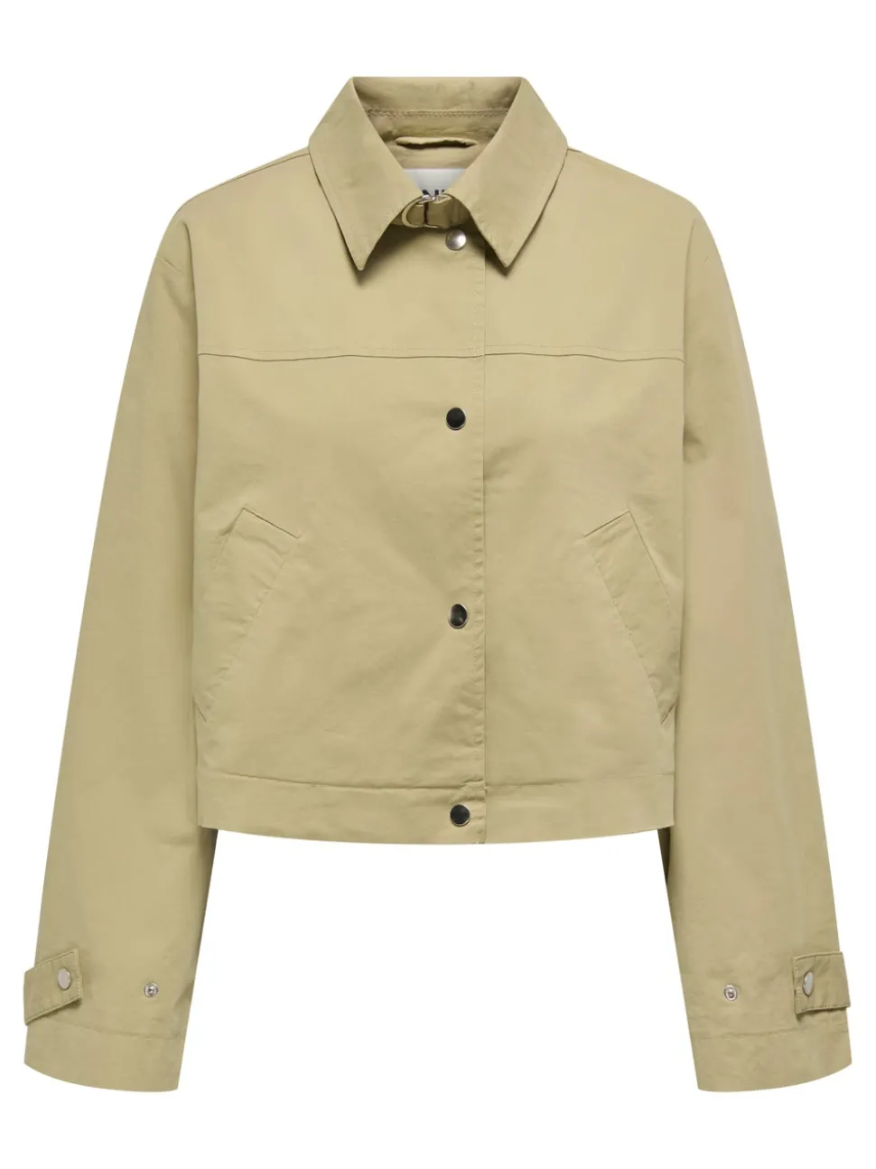 ONLLIANA Trench court