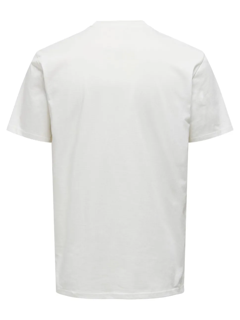 ONSBIGBLOOM T-shirt