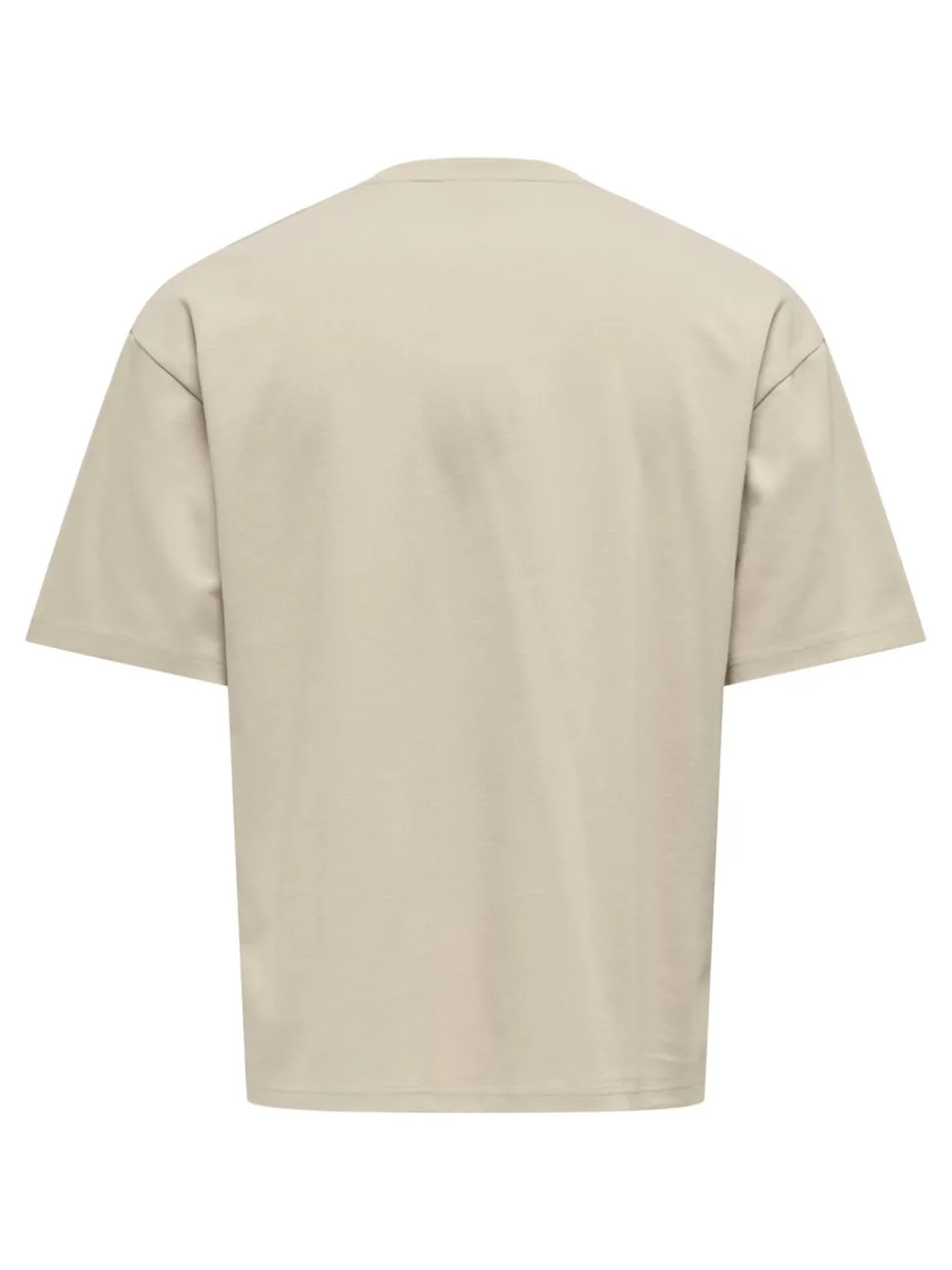 ONSCASPIAN T-shirt