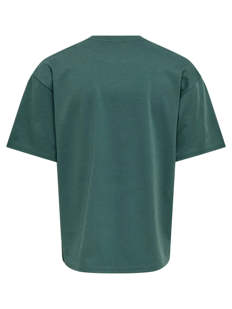 ONSCASPIAN T-shirt