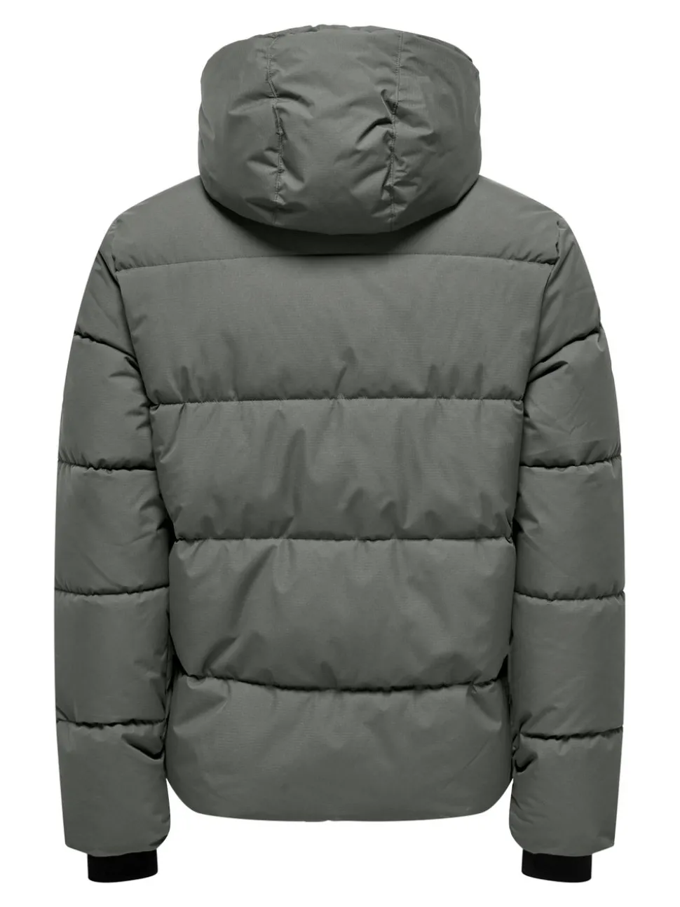 ONSELIJAH Manteau