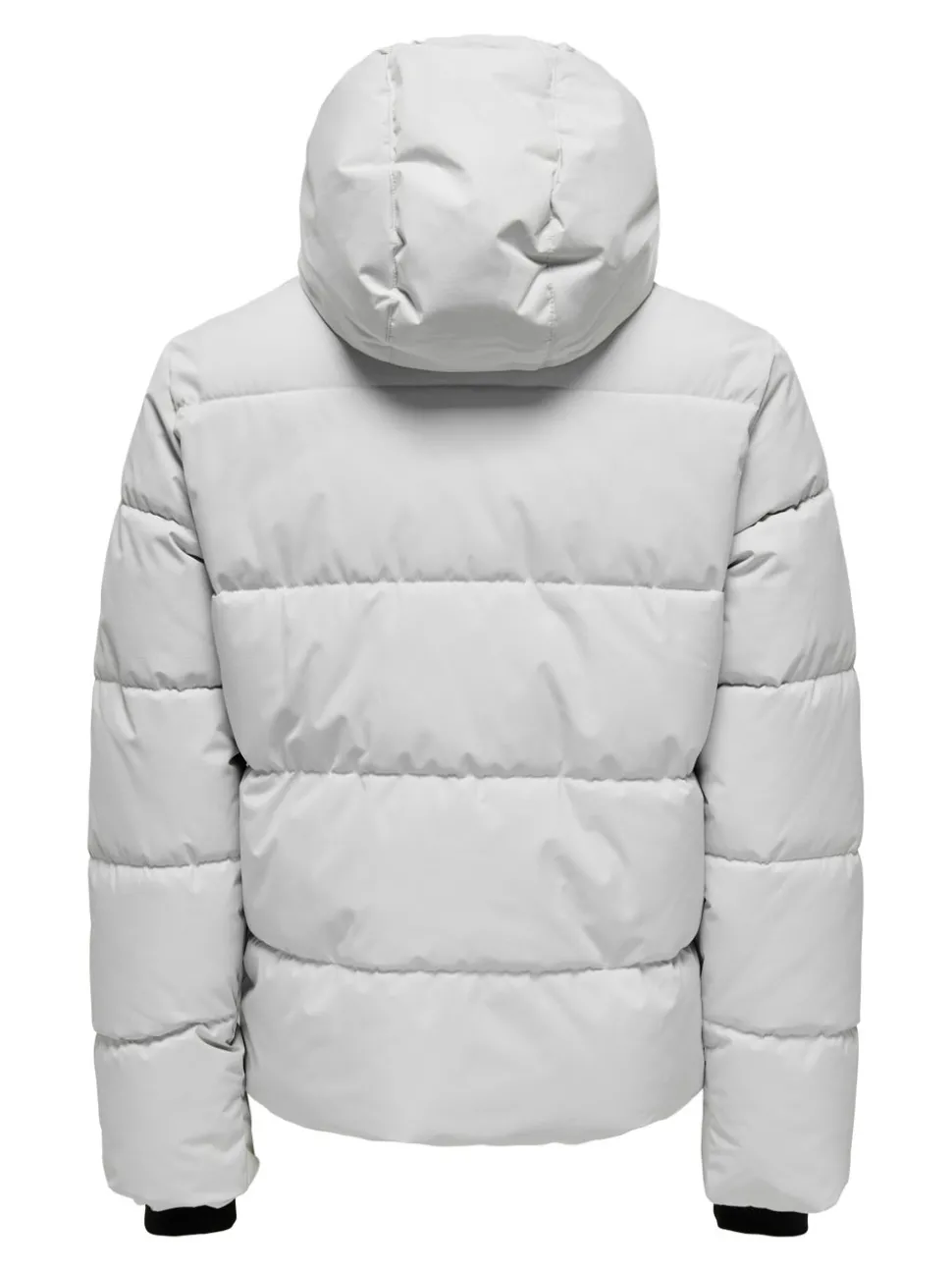 ONSELIJAH Manteau
