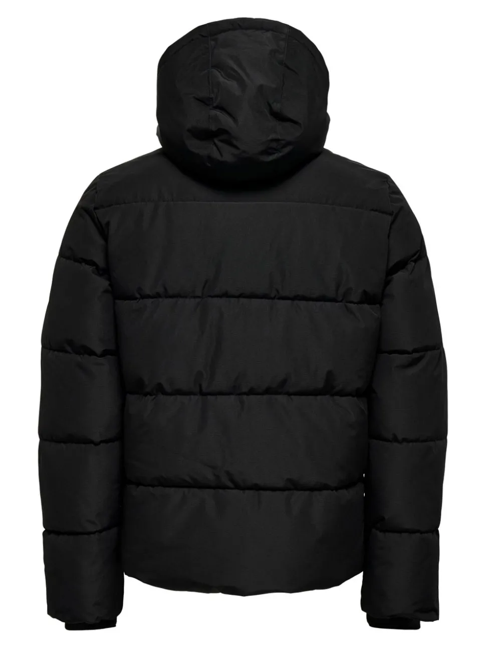 ONSELIJAH Manteau