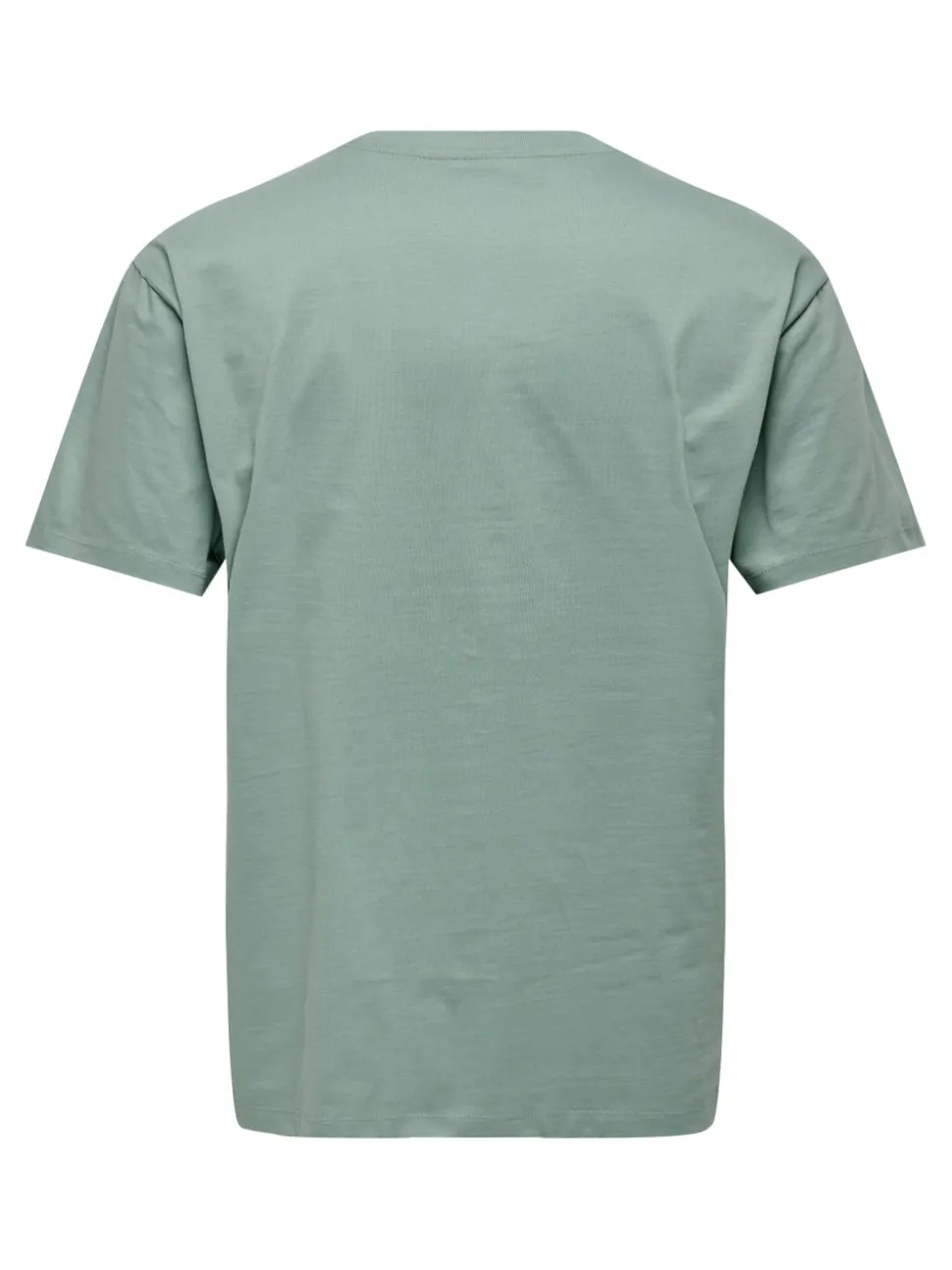 ONSFRED T-shirt