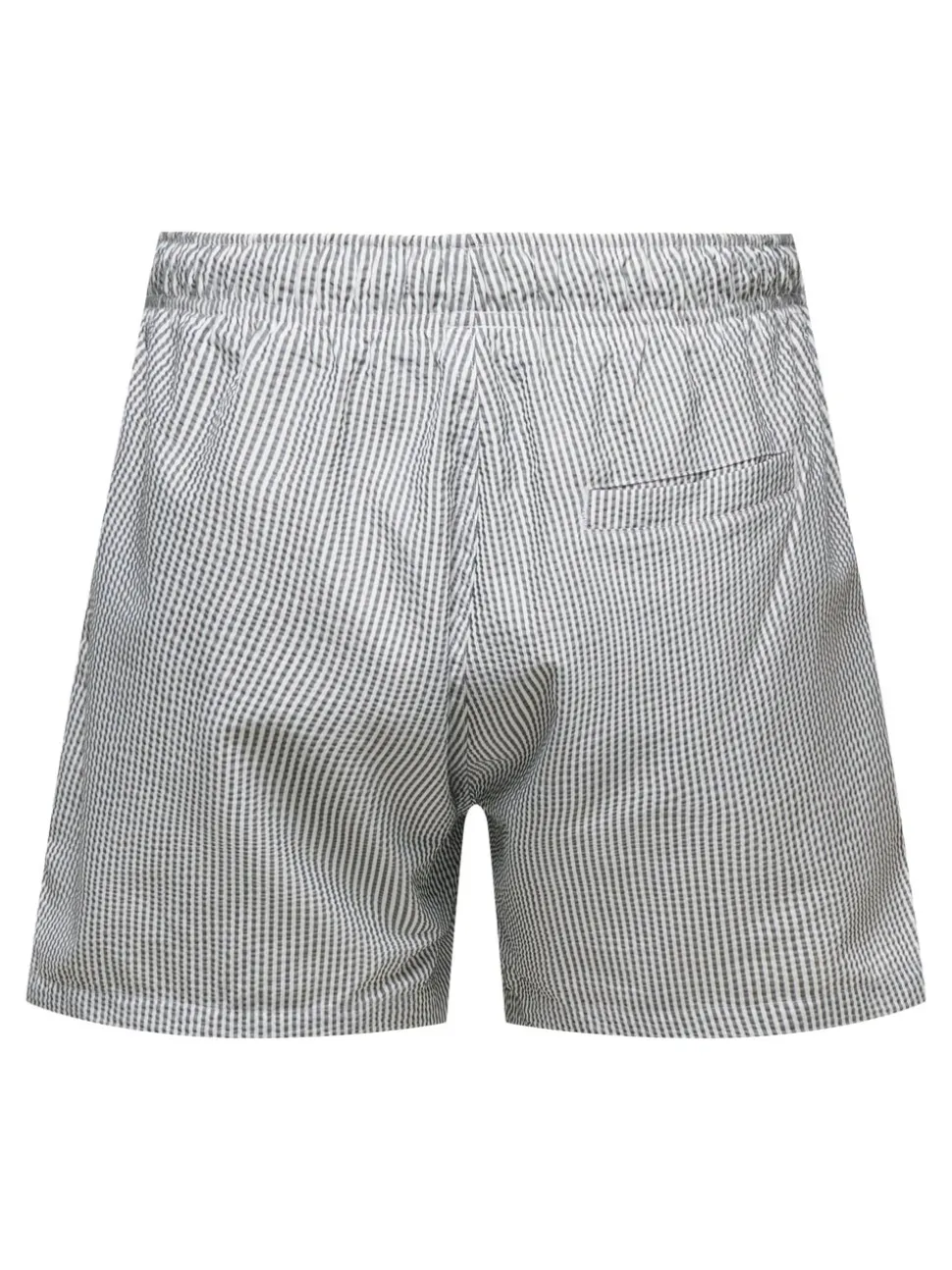 ONSTED Swim Shorts