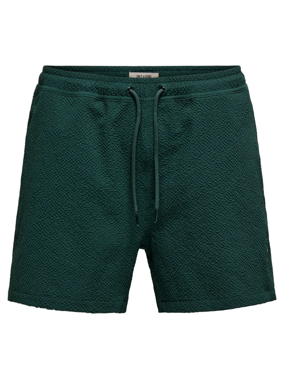 ONSTED Swim Shorts