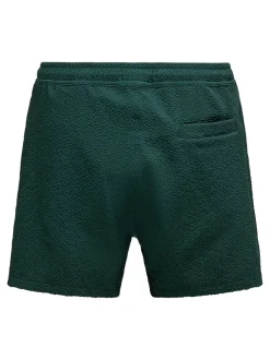ONSTED Swim Shorts