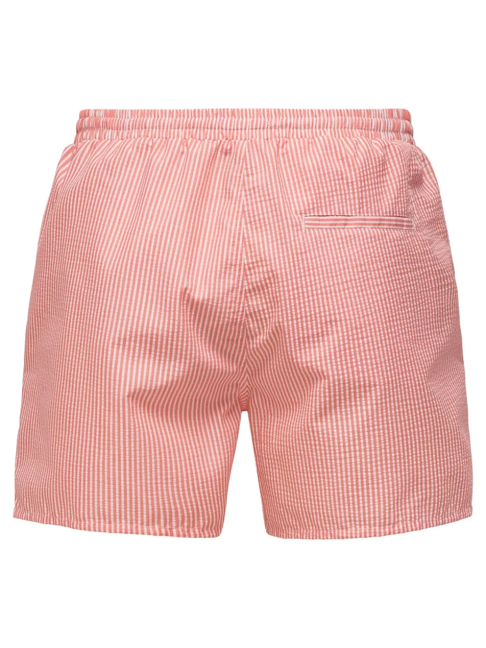 ONSTED Swim Shorts