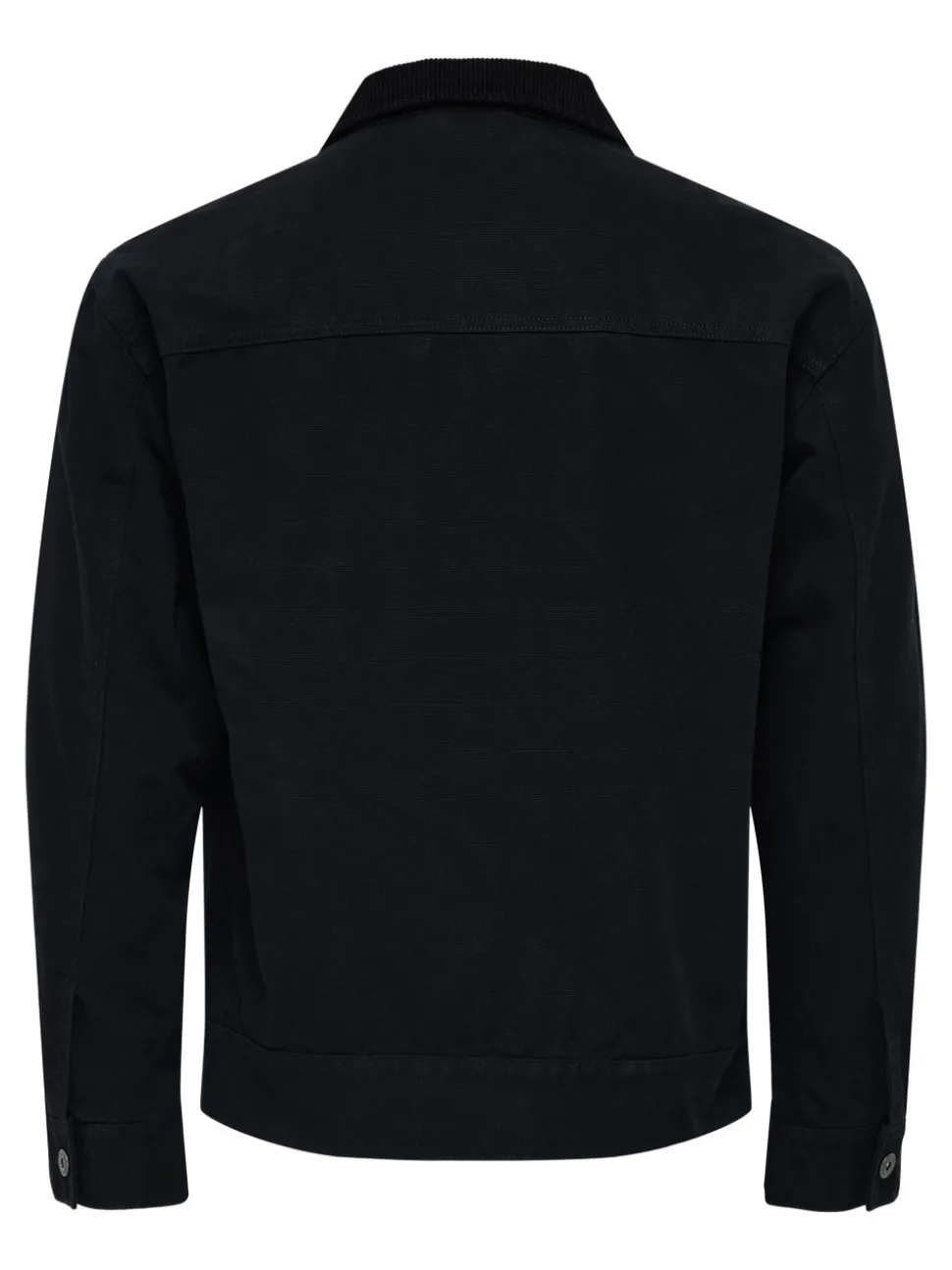 ONSTIMBER Veste