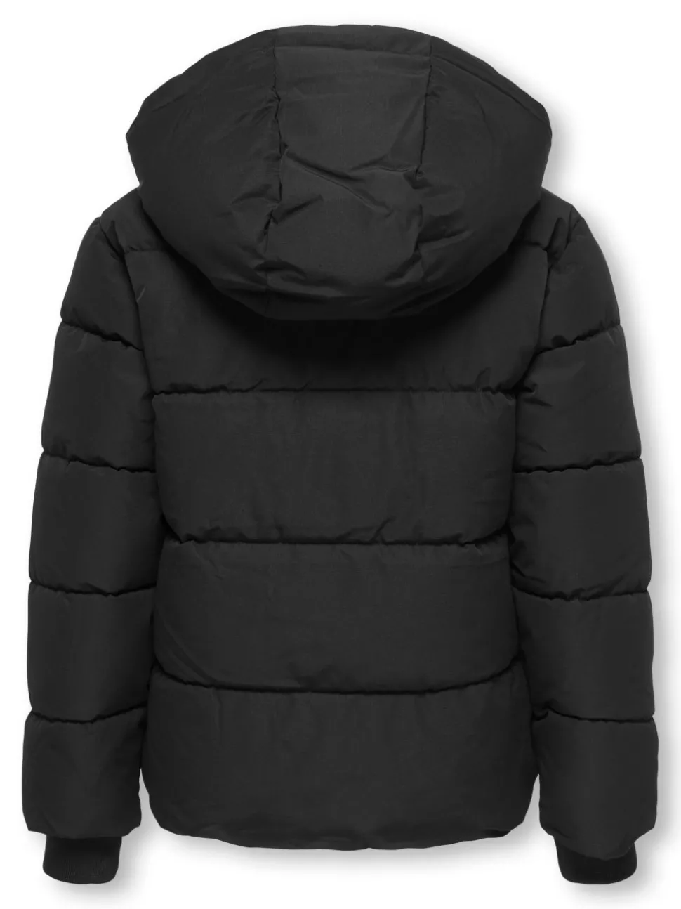 OSJELIJAH Veste